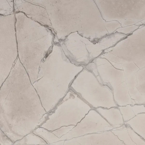Fossil